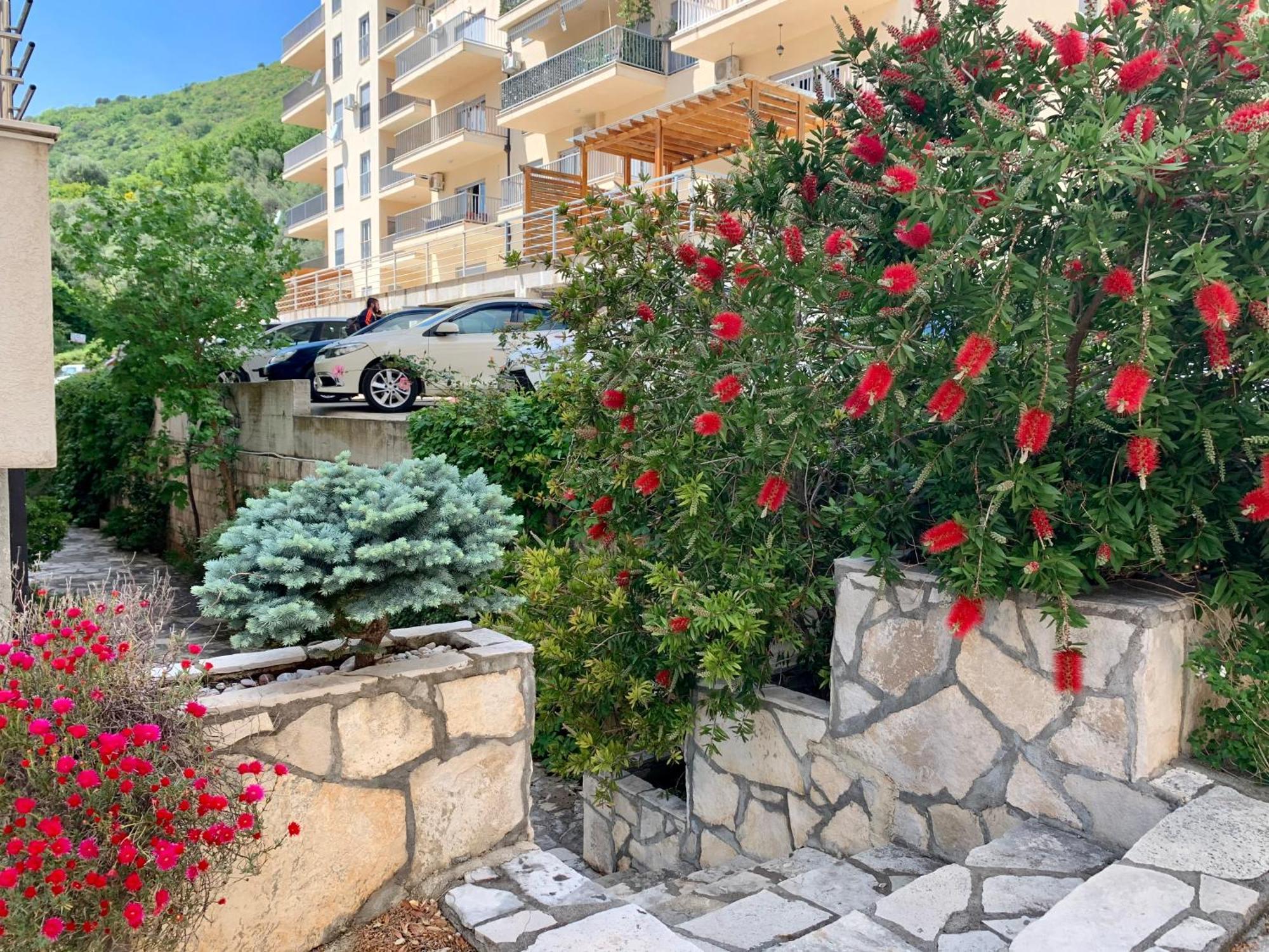 Best View Apartment Petrovac المظهر الخارجي الصورة